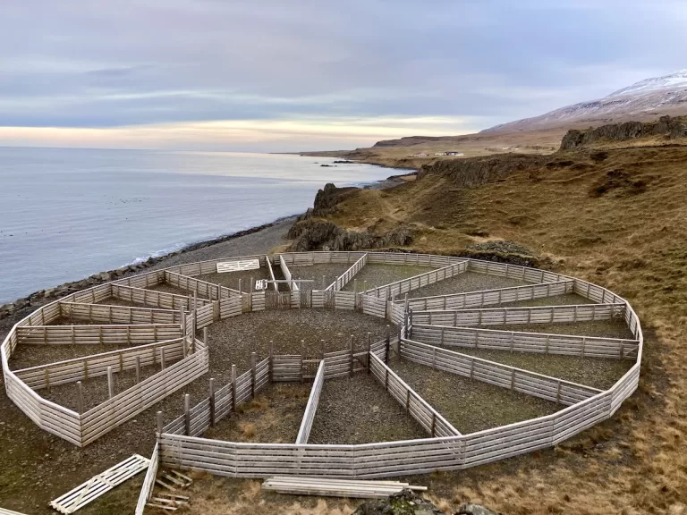 Horse pens near the ocean