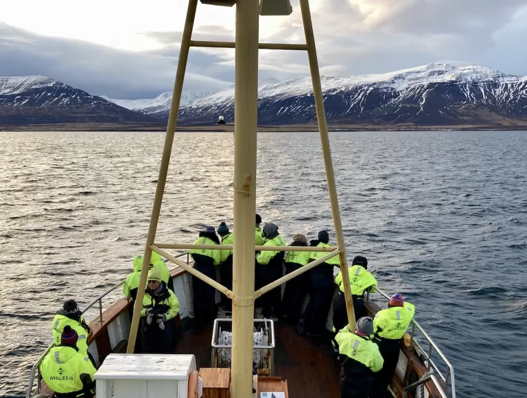 A group of people on a whale watching in Iceland trip.