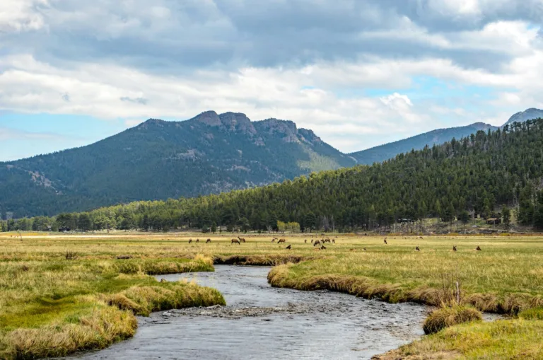 The Colorado River with a meadow in the foreground and mountains in the background.