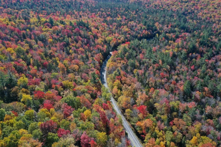 Drone shot of a winding country road in fall, with red and yellow autumn foliage.