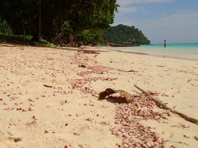 A sandy beach in Thailand with people in the distance.